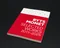 作品集「Ryts Monet: Selected Works 2011–2025」