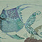 茫洋とした魚3