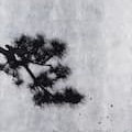 landscapes silver (4枚組)
