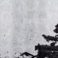 landscapes silver (4枚組)