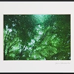 Floresta (取寄せ)
