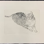 カール(猫)