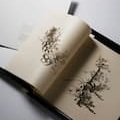 art box ” Ma ま ”